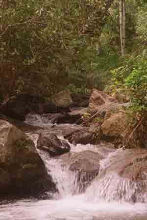 Water Fall